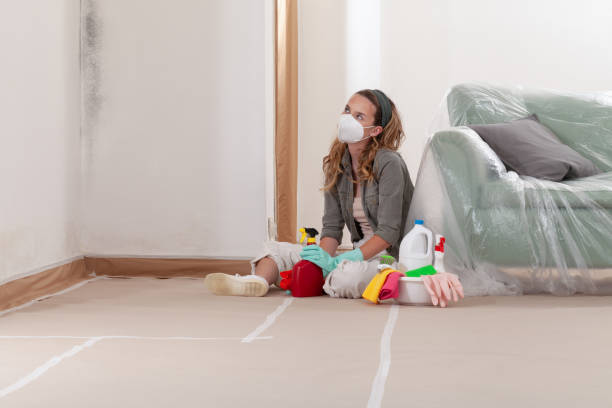 Reliable Mold Remediation contractor in Kittitas, WA by 24 Hour Mold Removal